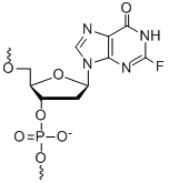 Bio-Synthesis Inc. Oligo Structure